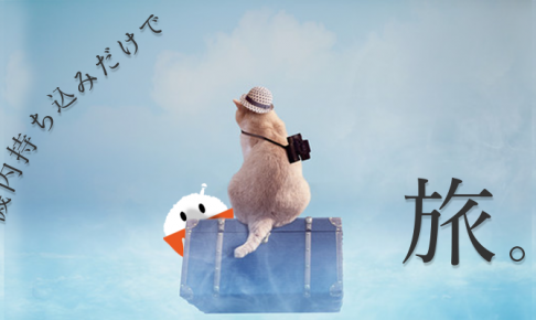 スクート_機内持ち込み_サムネ
